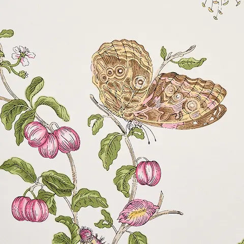 Baudin Butterfly wallpaper in Blush — detail 3