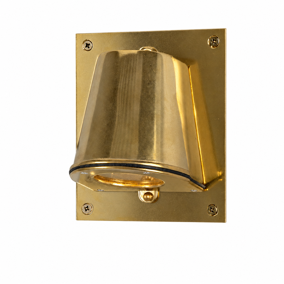 Wade Outdoor Spotlight with Back Plate in Raw Brass